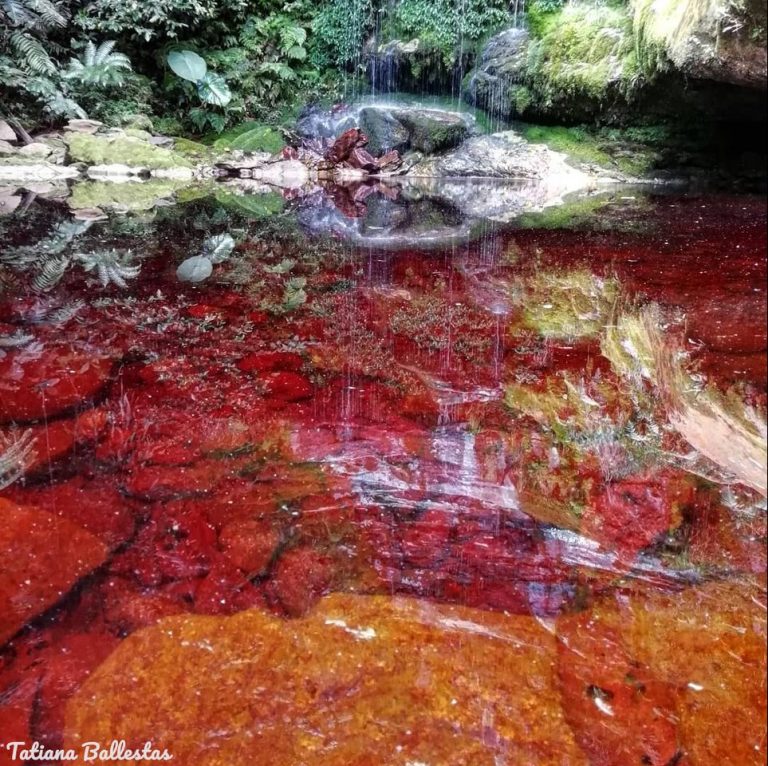 Cascada de Aguas Rojas: conoce la caída de agua más peculiar de Santander