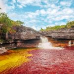 Caño Cristales – Los Ochos