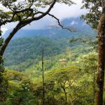 bogota_parque_natural_de_chicaque2-1024×576