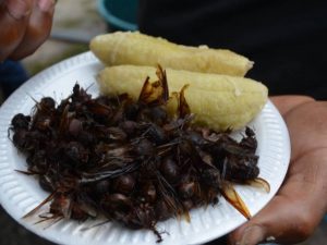 platos típicos de Santander