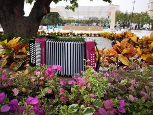 tradiciones de valledupar