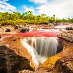 Multicolored,River,In,Colombia,,Cano,Cristales