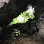 Cueva_de_los_guácharos_(5143998153)