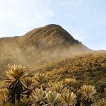 Cerro Plateado Salgar