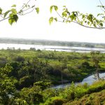 El Rio Cauca