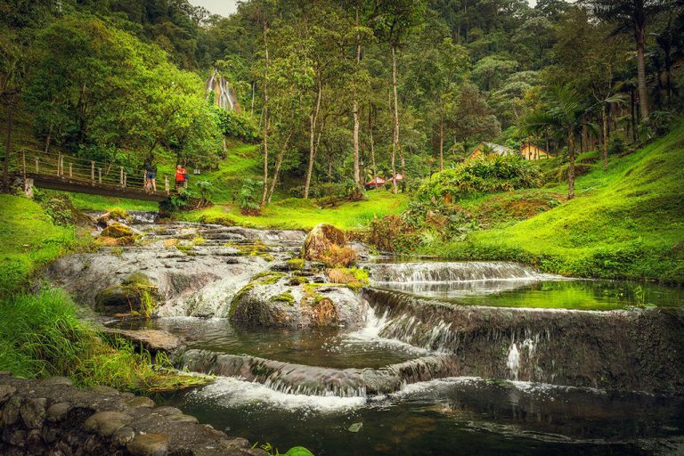Lugares turísticos de Risaralda: conoce los atractivos de este increíble departamento colombiano