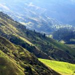 Valle del Cocora – Salento – Semana Santa