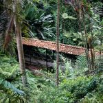 Jardín Botánico del Quindío, Armenia – Viaja en bus